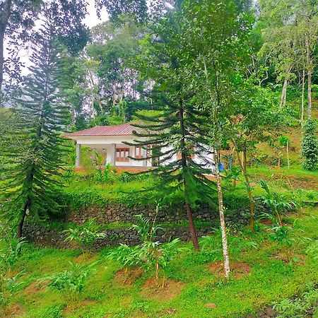 Anivilla Holiday Home Kunjithanny Anachal Eksteriør bilde